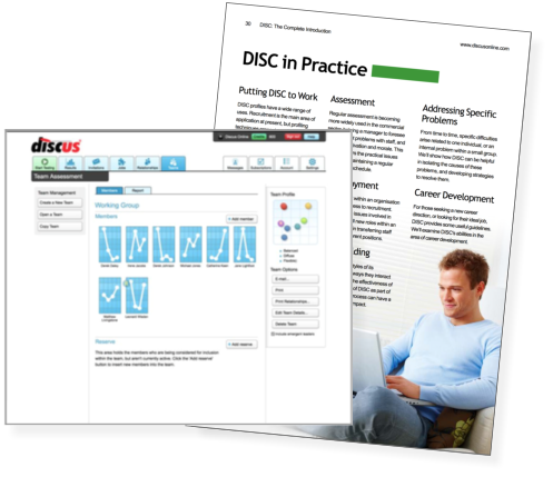 DISC in Practice example pages