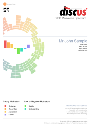 Sample Discus Motivation Spectrum report
