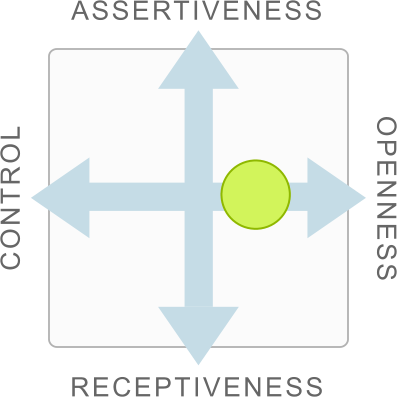 Style Card showing high levels of Openness