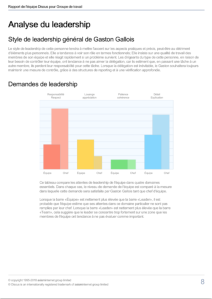 Rapport de l'équipe Discus: Analyse de leadership
